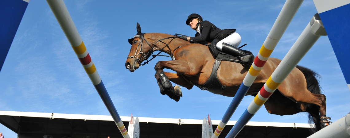 New To showjumping